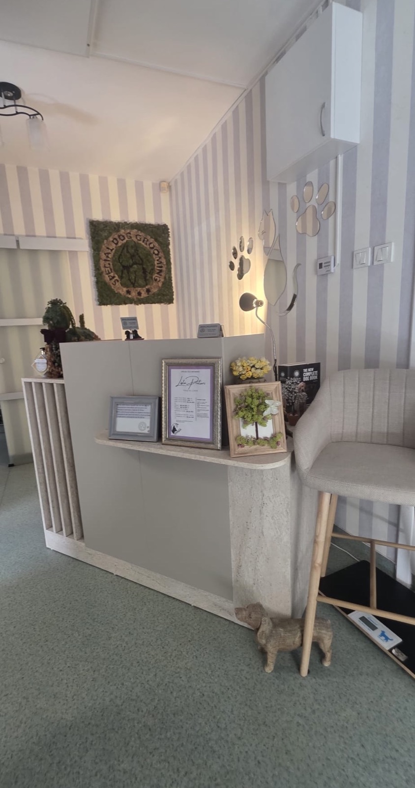 Recepția salonului Special Dog Grooming din Brașov