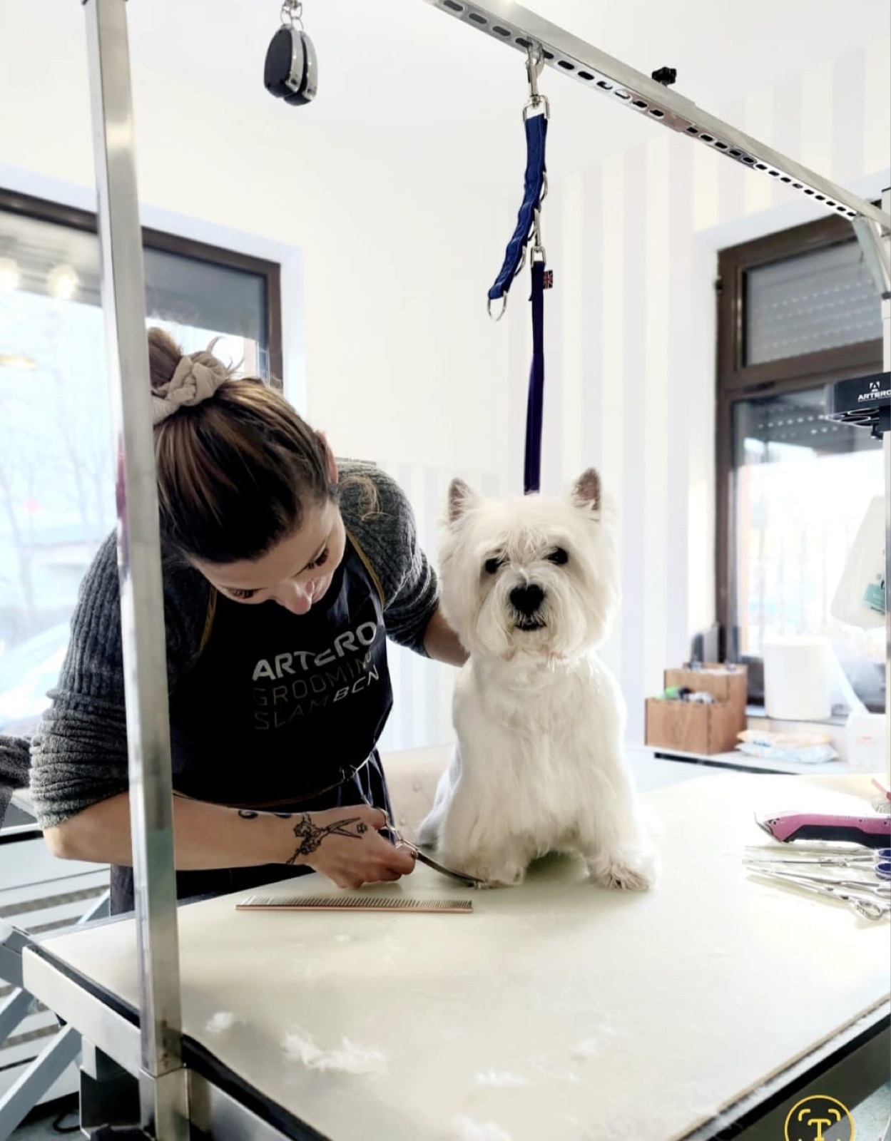 Tuns și styling la masa de grooming Special Dog Grooming Brașov