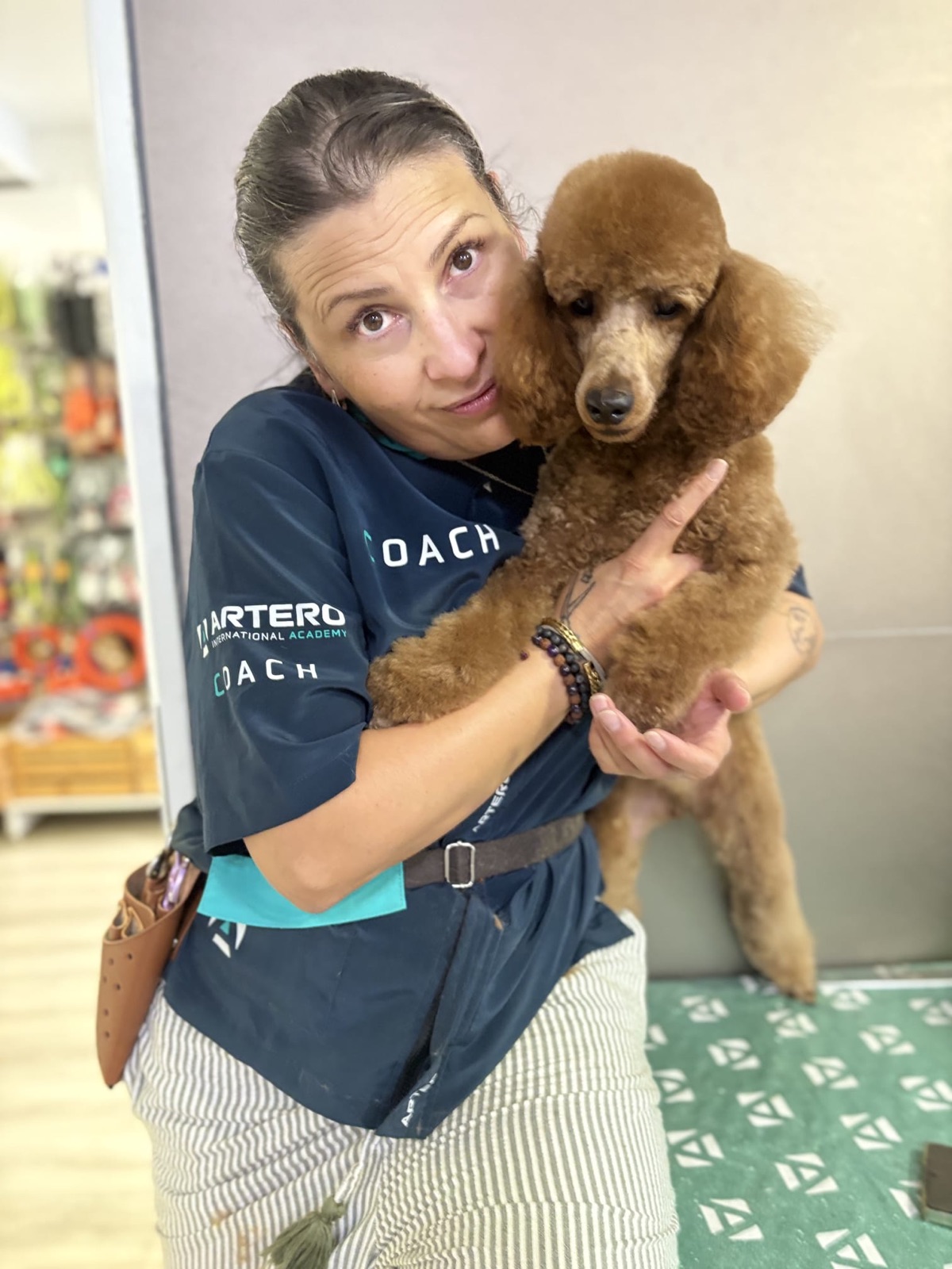Groomer alături de un caniche roșcat la Special Dog Grooming Brașov